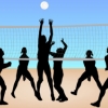 Fun Volleyball taster game