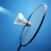 Norwich Novices - Play badminton in a social group