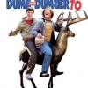 Cinema "Dumb and Dumber 2"