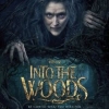 Cinema - Into The Woods