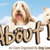 CANCELED All About Dogs show