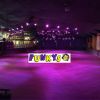 Roller Disco