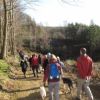 Bank Holiday Perambulate at Mousehold Heath Dogs Welcome.