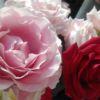 Love You Go Social - Happy Valentines To All