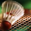 Badminton at Wensum sports centre