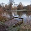 Woodland / River Walk / Litter Pick @Trainwoods **Great for New Members**