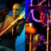 Neil Young Tribute Gig - Don't Spook The Horse