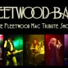 Fleetwood Mac tribute and the Norwich Art Centre