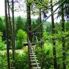 Extreme Adventure