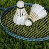 Badminton cancelled tonight as bank holiday