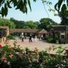 'Wroxham Barns' Day Out.