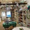'Prima rosa' Tea Rooms.