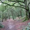 Mousehold Heath Geology and Landscape Walk - Norwich Heritage Open Days