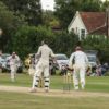 Cricket - watching it, not playing