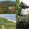 CANCELLED due to heavy rain predicted Pre-Christmas Woodland Coastal walk, pub l...