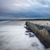 New Years Day Beach Walk