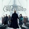 Fantastic Beasts: The Crimes of Grindelwald (2nd showing)