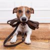 spring walk for our furry friends POSTPONNED