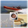 Power Boat (Coastal Voyager) Seal & Wind Farm Trip