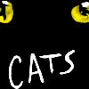 Cats - The Maddermarket Theatre