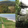 Woodland Coastal walk, pub lunch and drink
