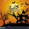 Bat Night at Gressenhall