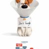 Odeon - The Secret Life of Pets 2