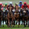 newmarket races carnival day