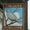 The Dove