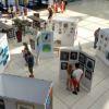 Art Exhibition in The Forum