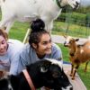 Yoga with Baby Goats