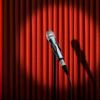 Cabaret at Jurnets Bar - Wensum Lodge