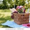 Socially Distanced Picnic (splinter group)