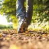 Mid Week Pootle-Whitlingham