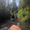Paddle boarding