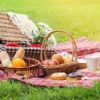 Picnic in Cathedral Gardens