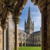 Bookswap in Cathedral Gardens