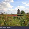 Acle to Upton Loop (Approx 6 miles)