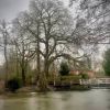 Boxing Day Walk