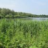 CANCELLED Stroll around Whitlingham Country Park