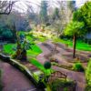Afternoon Tea Picnic @ Plantation Gardens