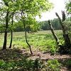 Dereham-Hoe-Beetley Walk