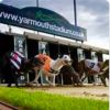 Night out at Yarmouth Stadium for Dog Racing
