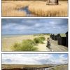 Suffolk Gem - 10 Mile Walk