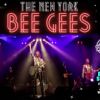 New York Bee Gees and Donna Summer tribute