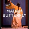 Madam butterfly