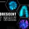 Zak’s followed by Biofluorescent Night Walk Mousehold – Mousehold Heath
