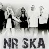 NR SKA     band 