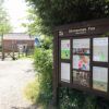 Strumpshaw Fen