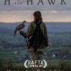 H is for Hawk